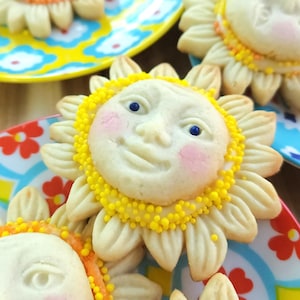 Forma de silicone para biscoitos Sun