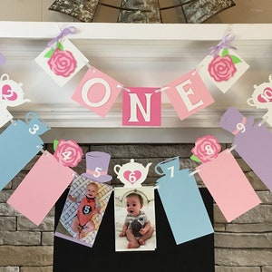 Alice In Onederland First Birthday Decorations Onederland 12 Month Photo Banner Wonderland 1st Year Photo Banner Tea Party  ONE high chair