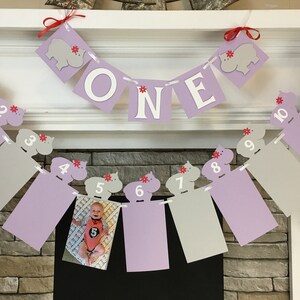 Hippo First Birthday Decorations Hip Hippo Hooray Photo Banner ONE High Chair Banner Hippo 12 Month Photo Banner 1st Year Photo Banner