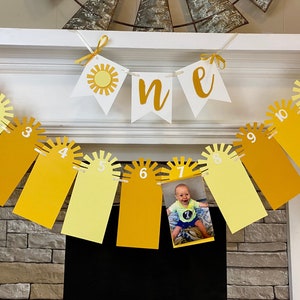 Muted You Are My Sunshine First Birthday Decorations Sunshine Banner BOHO ONE High Chair Banner 12 Month Photo Banner 1st Year Photo Banner
