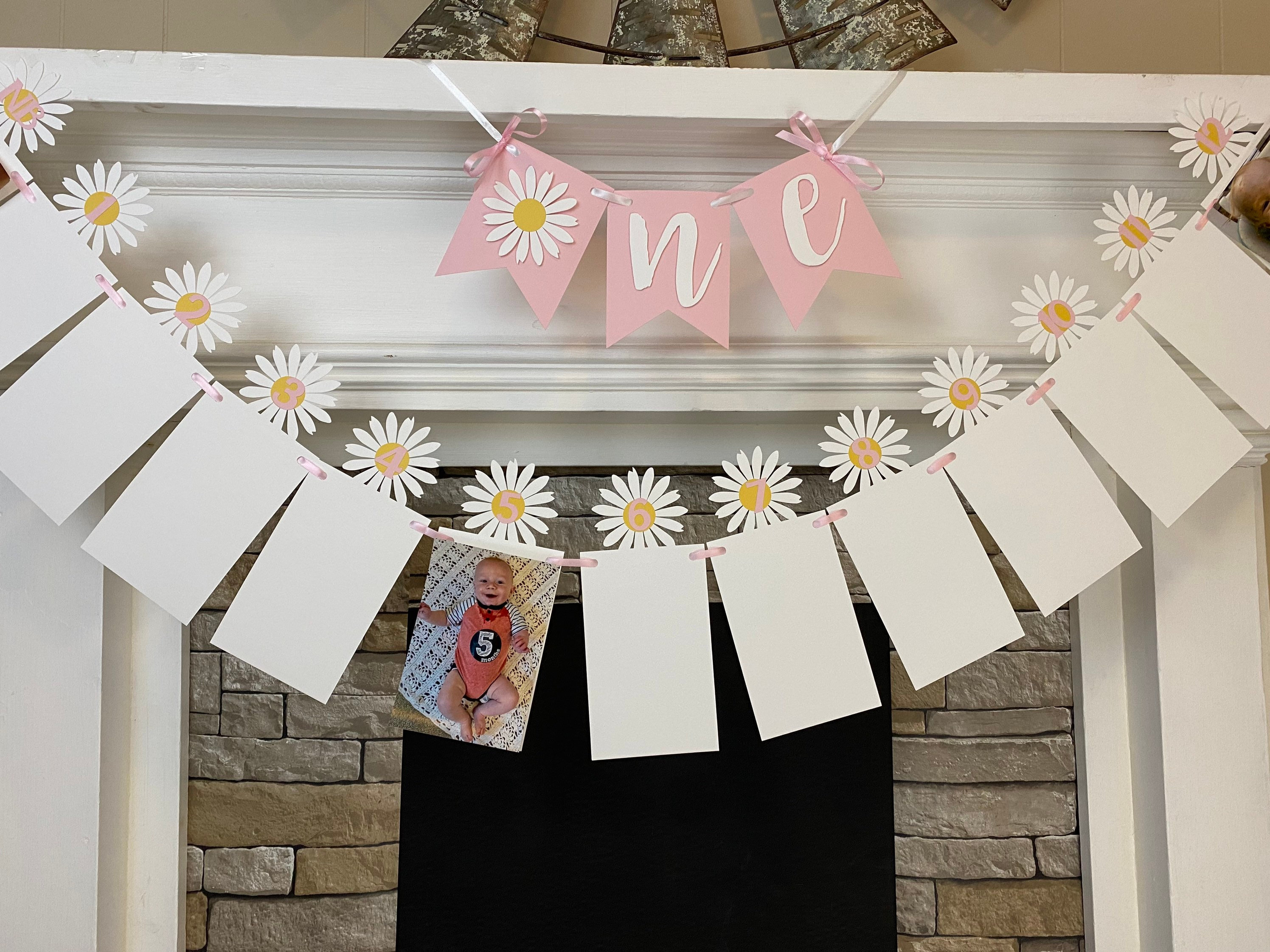 Daisy 12 Monthly Photo Banner - First Birthday Decor, Groovy One Milestone Banner - View #8