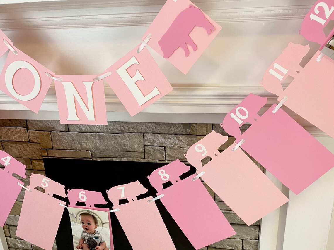 Pig Theme Birthday Banner - Pink Pig First Birthday Pennant, Cute Baby Room Decor, Reusable