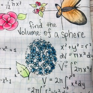 Op de afbeelding: Een handgeschreven pagina met wiskundige vergelijkingen met een blauwe bloem, een roze bloem en een vlinderillustratie. De tekst op de pagina luidt "vind het volume van een bol" en bevat de vergelijking "x&sup2; + y&sup2; = r&sup2;".
