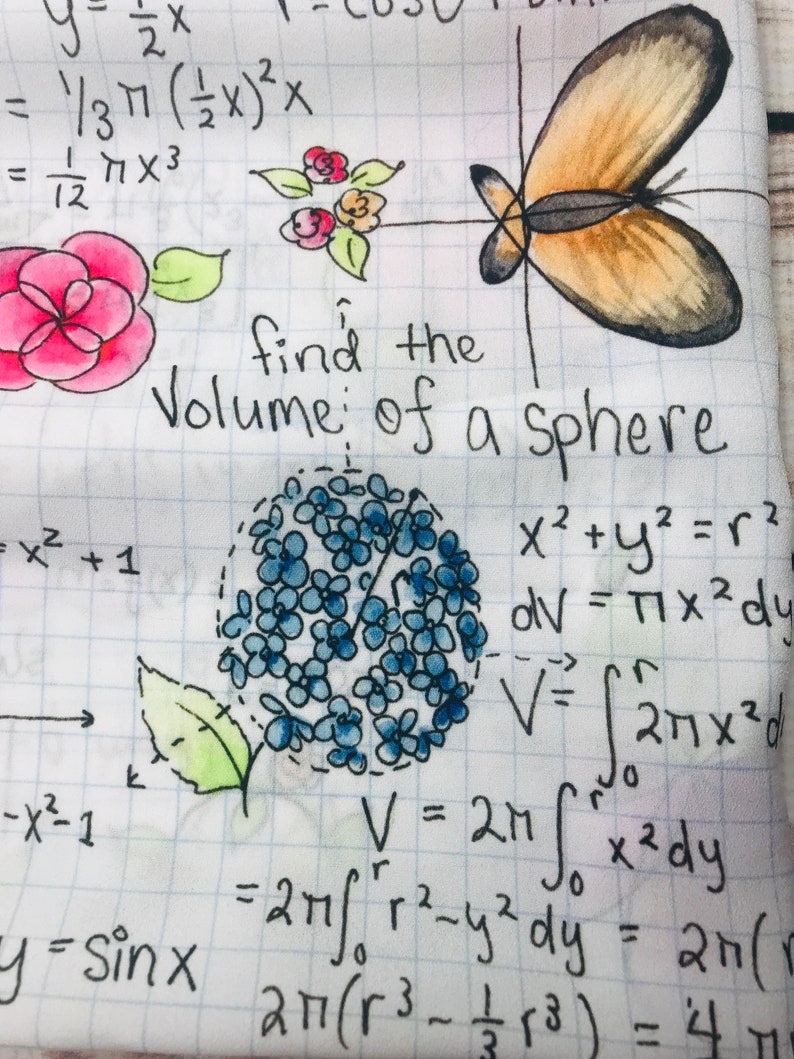 Op de afbeelding: Een handgeschreven pagina met wiskundige vergelijkingen met een blauwe bloem, een roze bloem en een vlinderillustratie. De tekst op de pagina luidt "vind het volume van een bol" en bevat de vergelijking "x&sup2; + y&sup2; = r&sup2;".