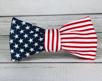 Amerikanische Flaggenfliege, amerikanische Fliege, Flaggenfliege, politische Fliege, Wahlfliege, Fliege vom 4