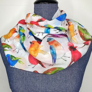 Bird scarf, infinity scarf, ornithology gift for her, chiffon scarf, bird watching scarf, bird nerd, bird lover gift, womans bird accessory