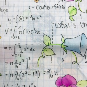 Op de afbeelding: Een handgeschreven pagina met wiskundige vergelijkingen met een bloemenontwerp. De vergelijkingen omvatten goniometrische functies, integralen en volumeberekeningen. De bloemen zijn in aquarel getekend en omvatten paarse, blauwe en gele bloemen met groene bladeren.