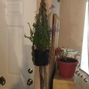 Zebra colored, single macrame holder #2