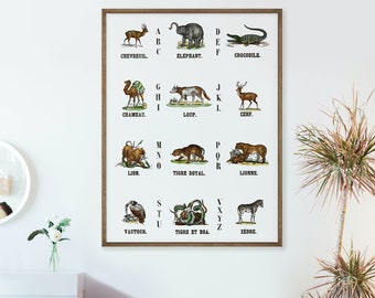 Animals A-Z Vintage Illustration Art Print | Halloween Poster | Home Decor | Vintage Alphabet Wall Art | Vintage Animal Home Decor