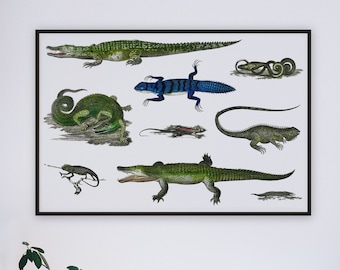 Reptiles Vintage Illustration Art Print | Living Room Poster | Crocodile Home Decor | Alligator Vintage Wall Art | Vintage Home Decor