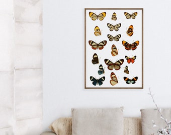 Butterflies Vintage Illustration Art Print | Living Room Poster | Home Decor | Vintage Wall Art | Vintage Home Decor