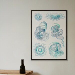 Impresión artística de ilustración vintage de medusas / Arte de vida marina / Póster de baño / Decoración de baño / Arte de pared vintage de mar / Decoración del hogar de vida oceánica