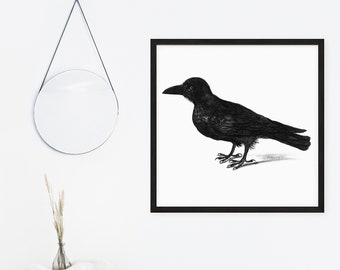Raven Vintage Illustration Art Print | Halloween Art | Ornithology Home Decor | Bird Wall Art | Vintage Crow Home Decor