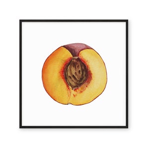 Peach Vintage Illustration Art Print | Fruit Kitchen Poster | Nectarine Home Decor | Kitchen Wall Art | Vintage Peach Home Decor