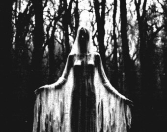 Ghostly Forest Dark Art Surreal Landscape 8x10 Poster Print Black Death Painting