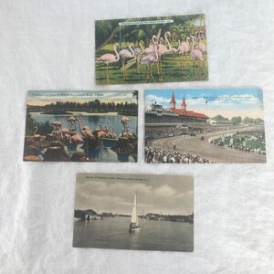 May include: Four vintage postcards featuring scenes from Florida and New York. The top postcard shows a group of pink flamingos in a park. The second postcard shows a group of flamingos in a lagoon. The third postcard shows a race track with a crowd of people. The bottom postcard shows a sailboat on a river.