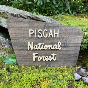 Letrero del Bosque Nacional Pisgah - 12" de ancho / Letrero PNF / Letrero Pisgah / Arte PNF / Arte del Bosque Nacional Pisgah / Letrero Pisgah / Réplica del letrero PNF