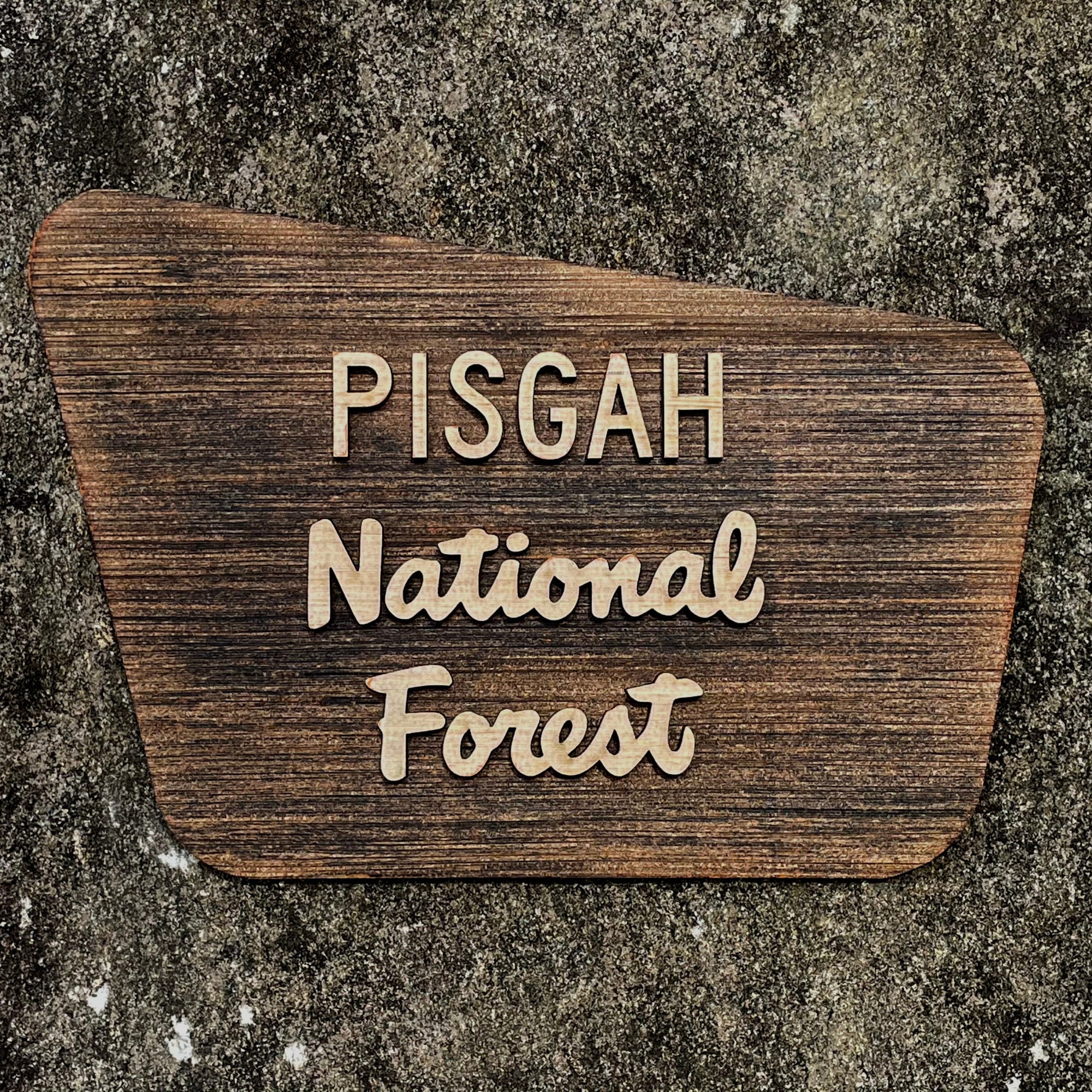 Pisgah National Forest Sign Etsy