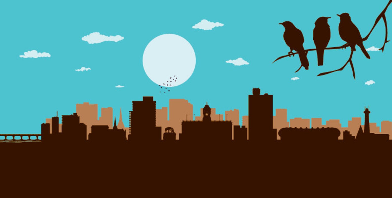 Port Elizabeth Skyline Port Elizabeth Print Port Elizabeth Etsy