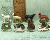 HUNTING DOG Breeds Beagle Irish Gordon Setter Griffon Dogs rhodesian ridgeback - French Feve Feves Dollhouse Miniature W245