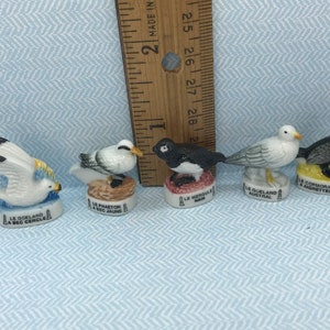 5 zeevogels watervogels vogels meeuw aalscholver Alk Tropicbird Oceaan - French Feve Feves porseleinen beeldje poppenhuisminiaturen mini W234