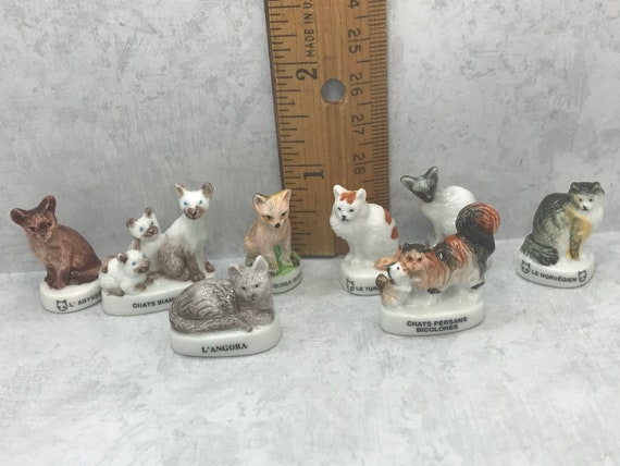 Chiot Et Chat Siamois Ensemble Sur Le Fond Blanc Image stock - Image du