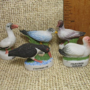 5 Tiny Sea Birds Aquatic Marine Bird Masked Booby Tern Gull Albatross Oystercatcher -  Porcelain French Feves Dollhouse Miniature  C20
