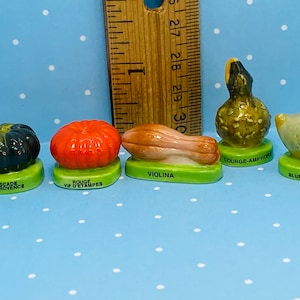 May include: Five miniature ceramic gourds, each painted with a different variety of squash. The gourds are arranged in a row on a blue background with white polka dots. The gourds are labeled with their names: "Muscade de Provence", "Rouge Vif d'Etampes", "Violina", "Courge-Amphora", and "Baby Blue Hubbard".