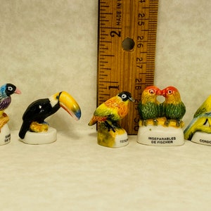 Colorful BIRDS Toucan Finch Lovebirds Waxbill Weaver Bird Breeds French Feve Feves Tiny Porcelain Dollhouse Miniatures SS57