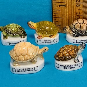 Puede incluir: Cinco figuritas de tortugas en miniatura sobre bases blancas con nombres franceses. Las tortugas están pintadas en colores realistas y tienen diferentes patrones de caparazón. Los nombres son "Cistude", "Tortue de Floride", "Tortue Grecque", "Tortue Geante des Galapagos" y "Malaclemysde du Nord".