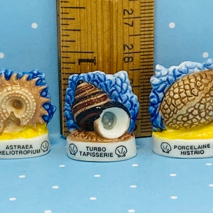 Tiny SEA SHELLS Marine Life Ocean Seashell Mollusk Set of 3 - French Feve Feves Porcelain Figurines Dollhouse Miniatures  N340