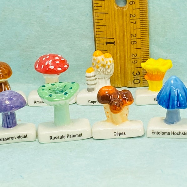 Français Feve - CHAMPIGNONS Champignons Cèpes Chanterelle Girolles Paris Mort Trompette Porcelaine Feves Figurine Dollhouse Miniature D181