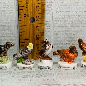 BIRDS  Porcelain Bird Species Vulture Eagle Osprey Red Kite Buzzard  French Feve Feves Figurine Dollhouse Miniatures L217