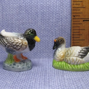 Puede incluir: Dos figuritas de cerámica de patos. El pato de la izquierda es un ánade real con plumas marrones, blancas y verdes. El pato de la derecha es un pato blanco con plumas marrones y negras. Ambos patos están sentados sobre bases verdes.
