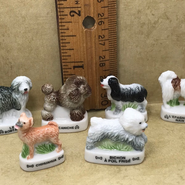 DOG Breeds Sheepdog Poodle Spaniel Chihuahua Bichon Frise Cavalier King Charles Dogs - French Feve Feves Figurine Dollhouse Miniature C46