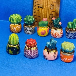 Adorabile CACTUS Cactus Piante da appartamento del deserto del sud-ovest Aloe Pianta minuscola Piante grasse Porcellana francese Feves Figurina Casa delle bambole in miniatura Mini K81
