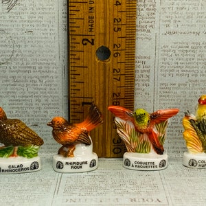 Op de afbeelding: Vier miniatuur keramische beeldjes van vogels, elk met een andere soortnaam eronder gedrukt. De vogels zijn geschilderd in realistische kleuren en zitten op kleine sokkels. De namen zijn "Calad Rhinoceros", "Rhupidure Roux", "Coquette a Raquettes" en "Coliou Huppé".