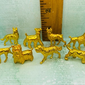 Può includere: Una collezione di otto piccole statuette di cani dorati. I cani sono in varie pose e razze, con una finitura metallica lucida. Un righello di legno sullo sfondo serve come scala.