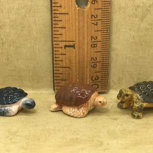 3 TURTLE Tortoise Species Turtles Tortoises Hand Painted Porcelain Marine Animals reptile  - French Feve Feves Dollhouse Terrarium H57