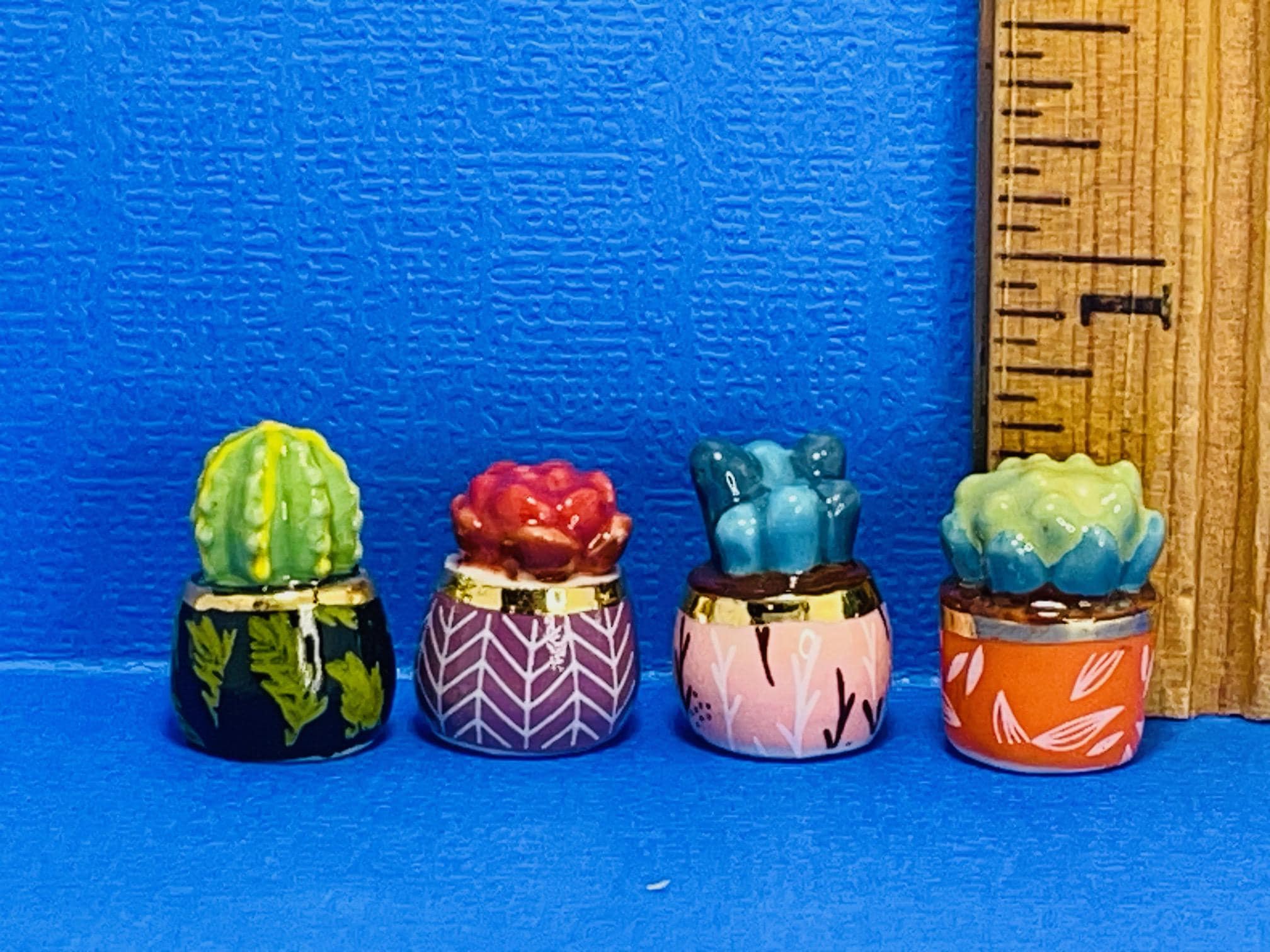 Cluster of Frailea Button Cacti in Artistic Display