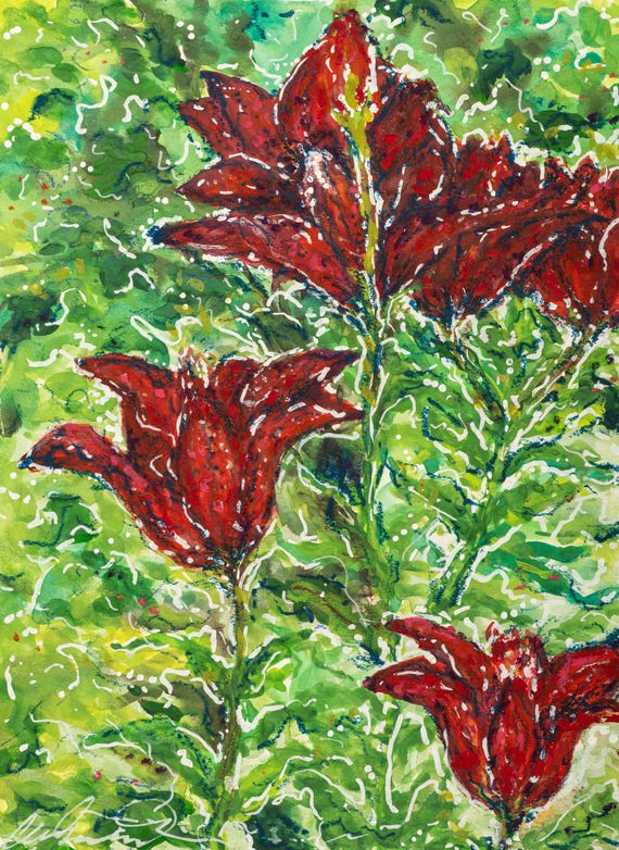 Scarlet Lilies