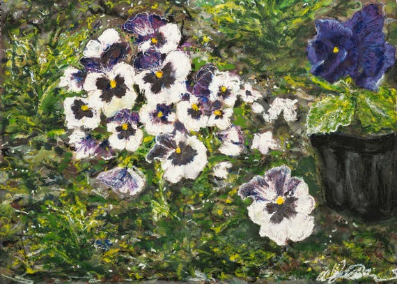 Pansies Print
