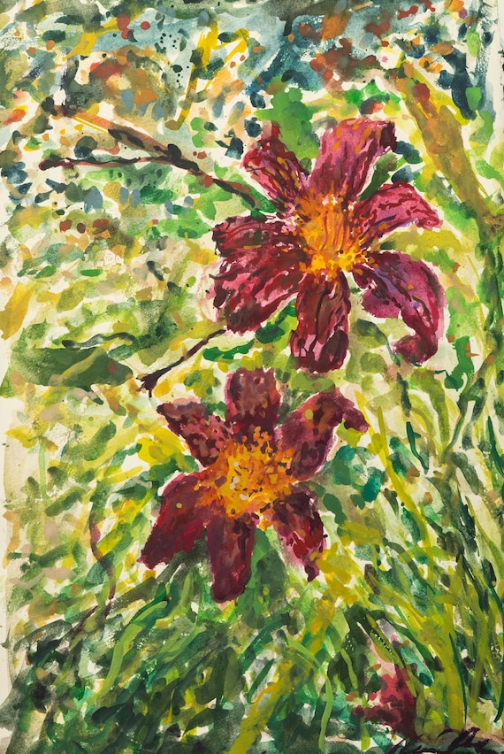 Ruby Spider Lily