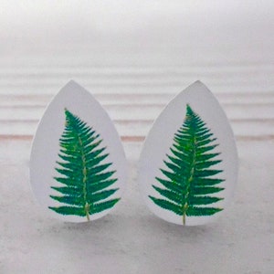 Teardrop Forest Fern Wood Plant Leaf Stud Earrings image 2