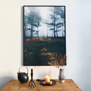 Moody Winter Day Poster Wall Art Forest Coastal Heath 39 x 27 inches image 2