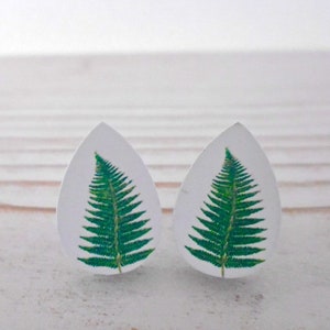 Teardrop Forest Fern Wood Plant Leaf Stud Earrings image 3