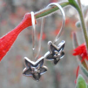 May include: Silver dangle earrings with a flower design. The earrings are hanging from a green stem with red flowers.