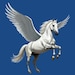 Pegasus Imports