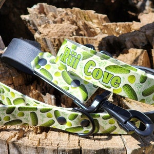 Dill Delight - All Weather, Waterproof Collar, Pickles, Custom Dog Collar, Name Collar, Collar and Leash Set, MadcoW Collar, Biothane Collar