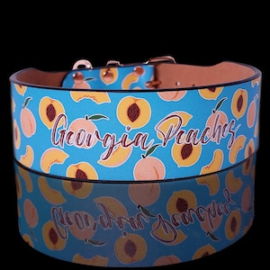 May include: A blue dog collar with a peach pattern and the words "Georgia Peaches" in a script font. The collar has a brown leather interior and metal hardware. The peaches are yellow and orange.